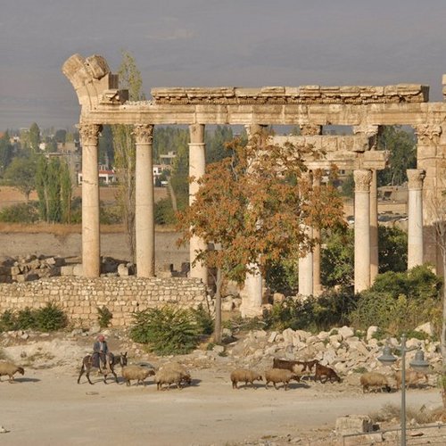 Die römischen Thermen in Baalbek/Heliopolis