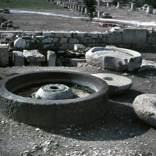 Landwirtschaftliche Aspekte römischer Villae rusticae
