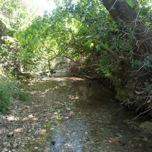Wasser und Kult im Heraion von Samos