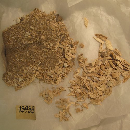 Kinderknochenfragmente in einer Schale aus einem frühägyptischen Grab belegen ein leidvolles Leben