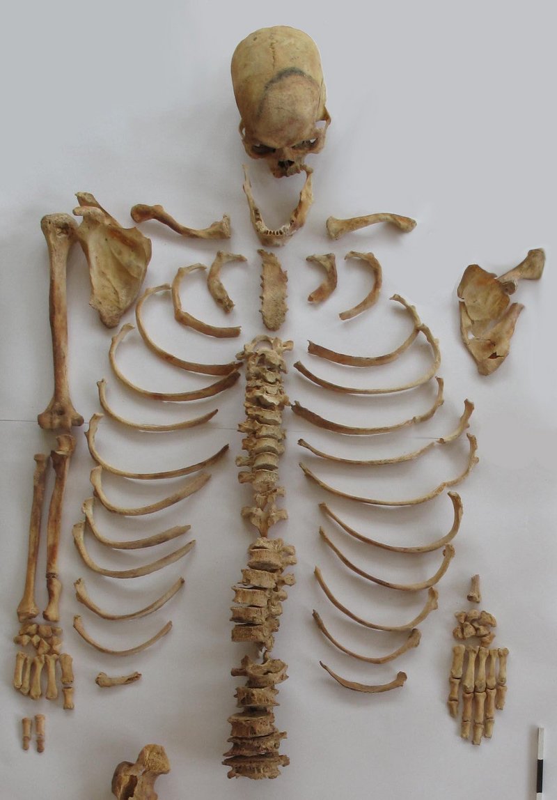 Skeleton from Sharakhalsun