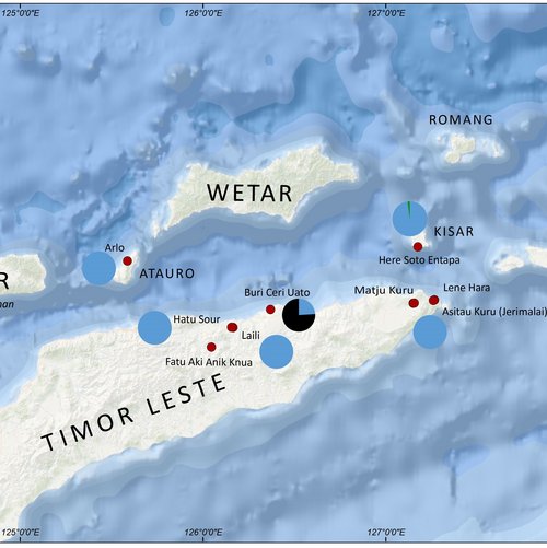 Maritime Netzwerke im pleistozänen Wallacea