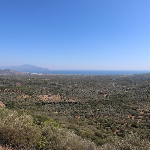 Das Heraion im Kontext seines Umlandes: Untersuchungen zur samiotischen Landnutzungsgeschichte und infrastrukturellen Anbindung des Heiligtums