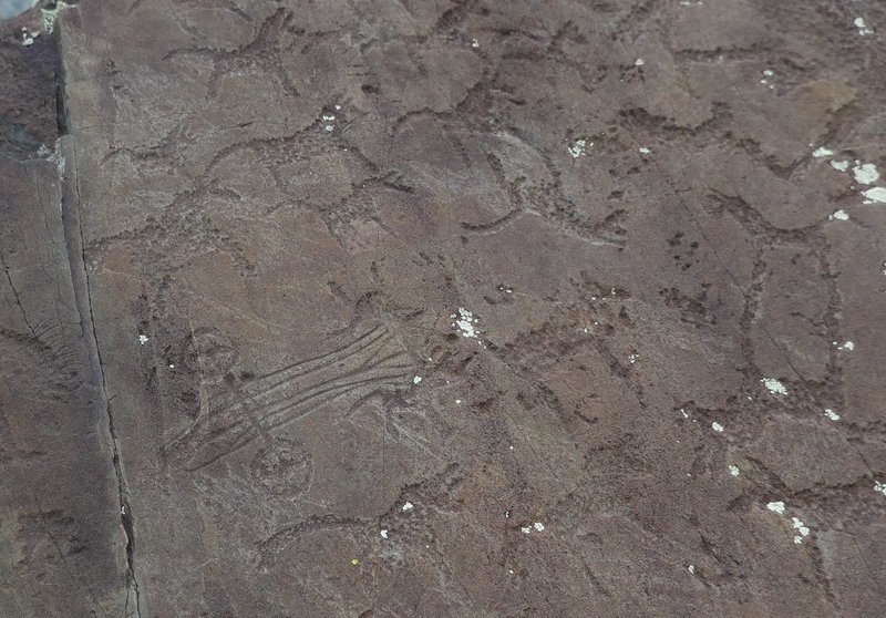Kalbak-Tash