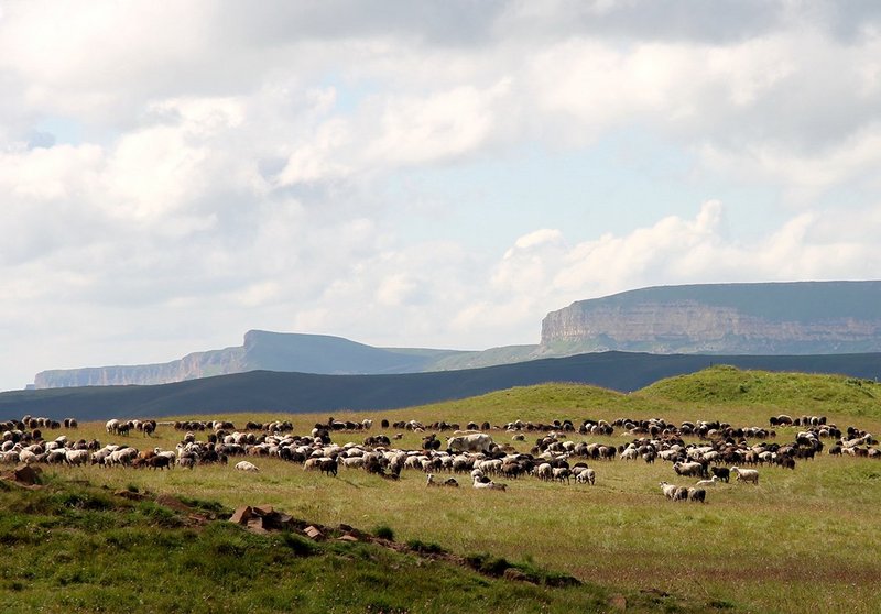 Grabhügelfeld auf dem Becasyn-Plateau und Blick auf die Siedlung Gumbashi