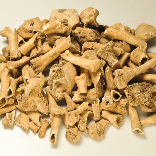 Human bones at Göbekli Tepe