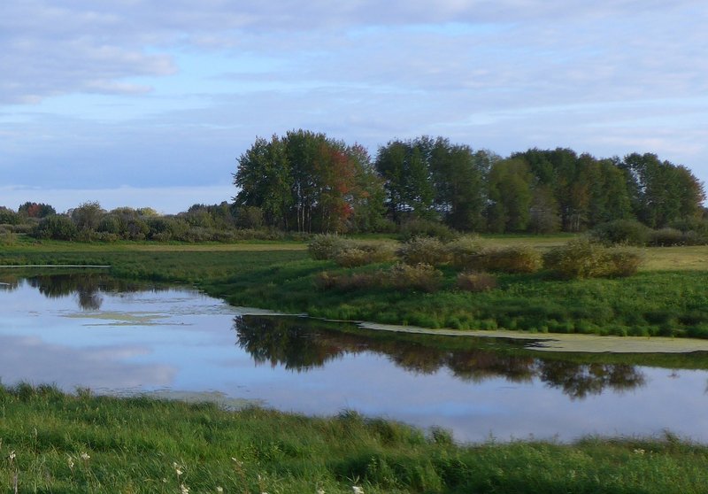 Tartas 1, Flusslandschaft