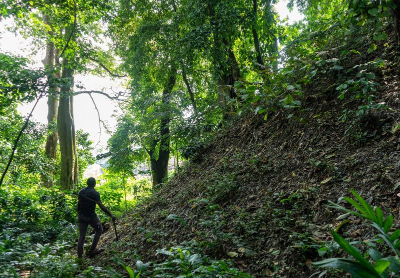 Edo|cation: Documentation of a part of the trench ramparts of Benin with Ovie R.