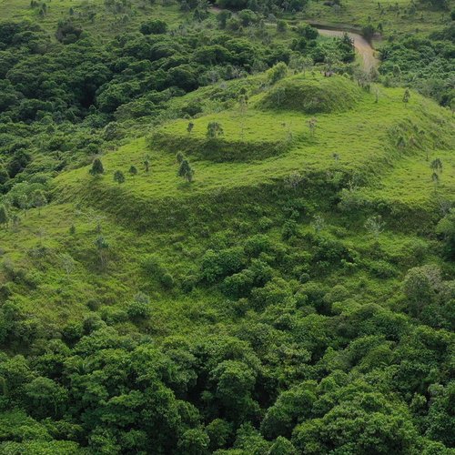 Geoarchäologische und archäologische Untersuchungen zur Genese und Funktion von Erdwerken in Palau (Mikronesien)