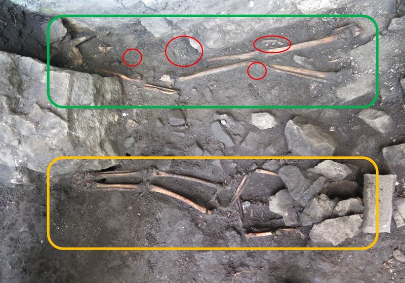 The skeletons in situ