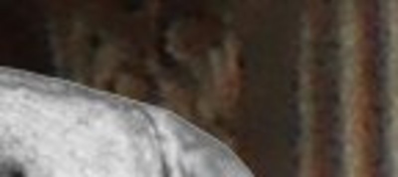 ce-teaser Img