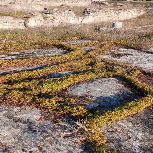 Scupi. Transformationsprozesse einer Stadt und ihres Umlandes