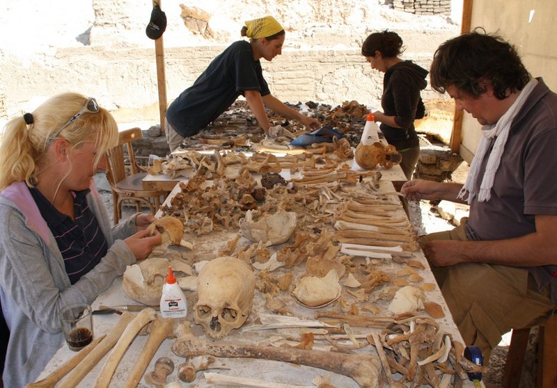 Anthropologische Untersuchung des durch antike Plünderungen beschädigten Skelettmaterials