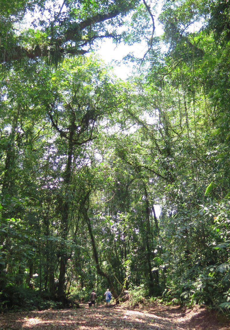IMG_8899.JPG