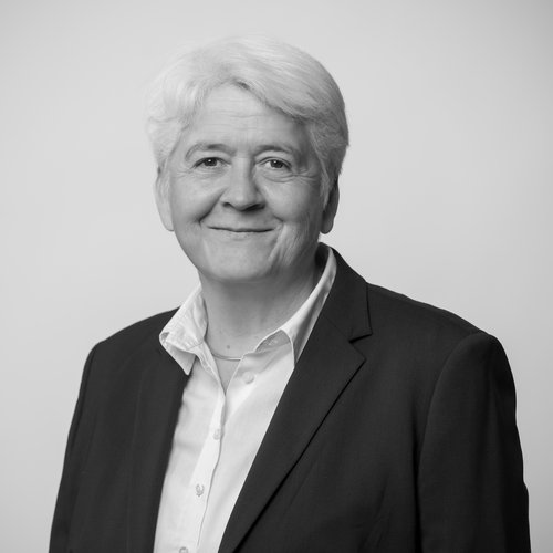 Prof. Dr. Dr. h.c. Friederike Fless