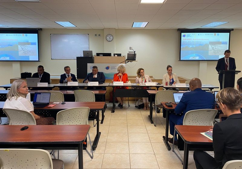 Side Event Sids4 1