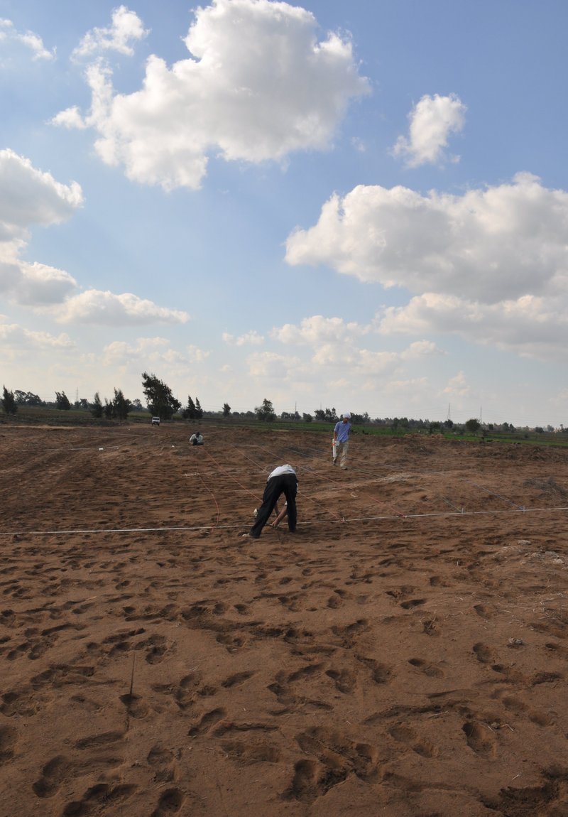 01_DAI_Kairo_KomElGir_20111105_forschung.JPG