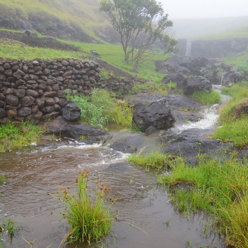 Ressourcennutzung auf Rapa Nui (Osterinsel/Isla de Pascua), Chile