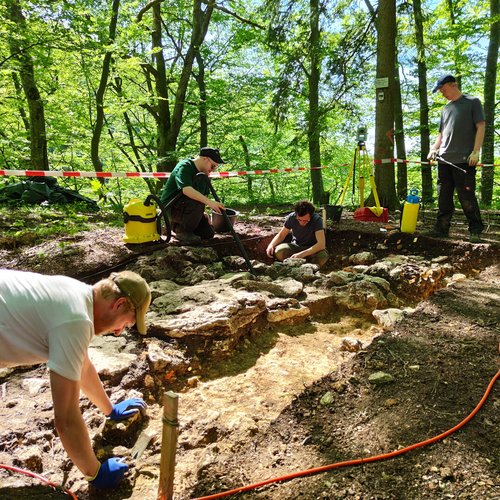 Ressourcenerschließung und Herrschaftsräume im Mittelalter: Klöster und Burgen