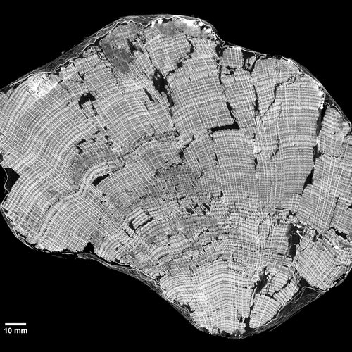 Groundcheck - Klimaarchive und Archäologie im Kaukasus