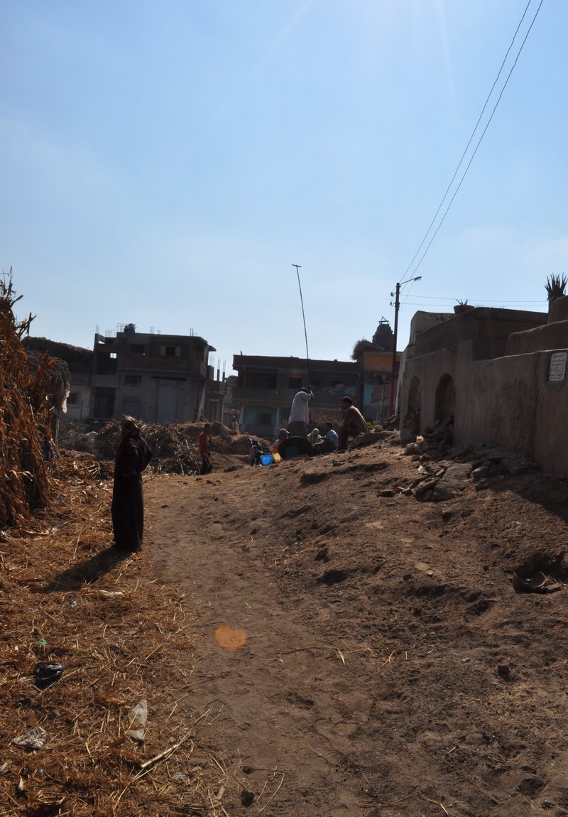 01_DAI_Kairo_Survey_Buto_20101110Nashart_auger30_forschung.JPG