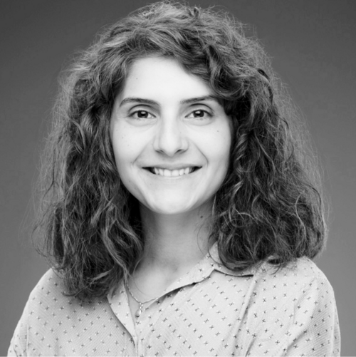  Sibel Erhan