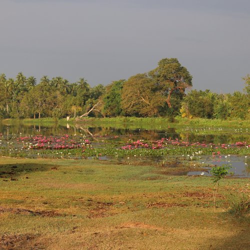 Giribawa und die Techniken der Glasherstellung in Sri Lanka (Antike und frühes Mittelalter)