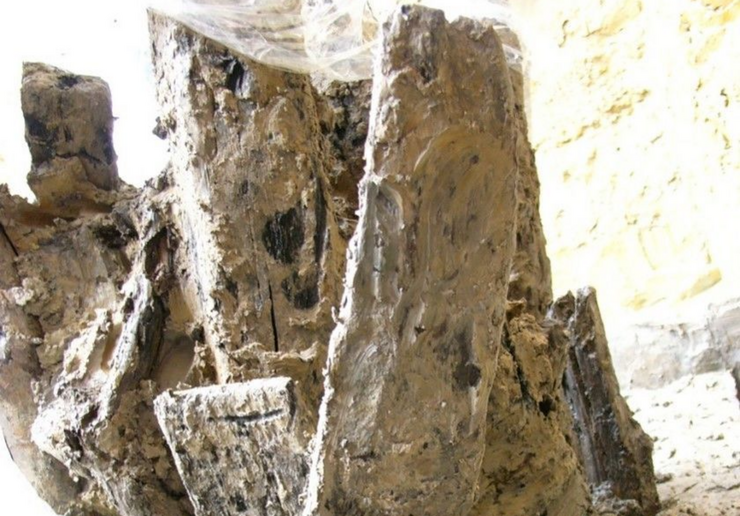 2025_11_Vortrag_Rasbach_Holz_Waldgirmes_Rasbach