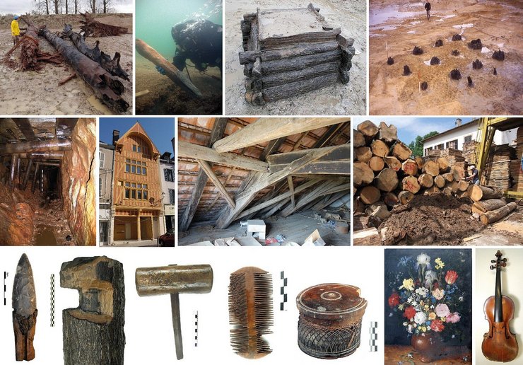 B. Muigg (Universität Freiburg/Amt f. Arch. Kanton Thurgau)/Tegel et al., 2022, Dendroarchaeology in Europe, in: Front. Ecol. Evol., 10, 2022, https://doi.org/10.3389/fevo.2022.823622, Fig. 1.